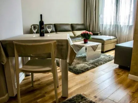 Izdavanje, jednosoban stan, 45m², Centar, Podgorica - image 3