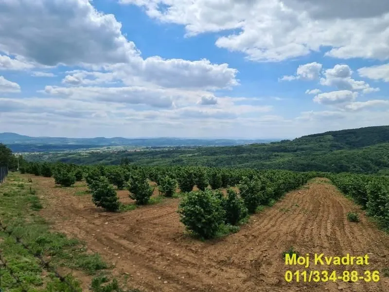 Prodaja, plac, 900m², Koraćica, Mladenovac