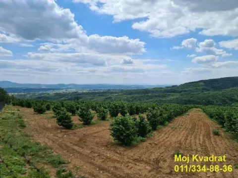 Prodaja, plac, 900m², Koraćica, Mladenovac - image 2