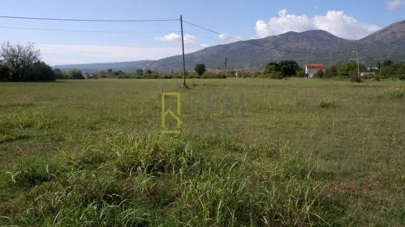Prodaja, plac, 3000m², Grlić, Danilovgrad