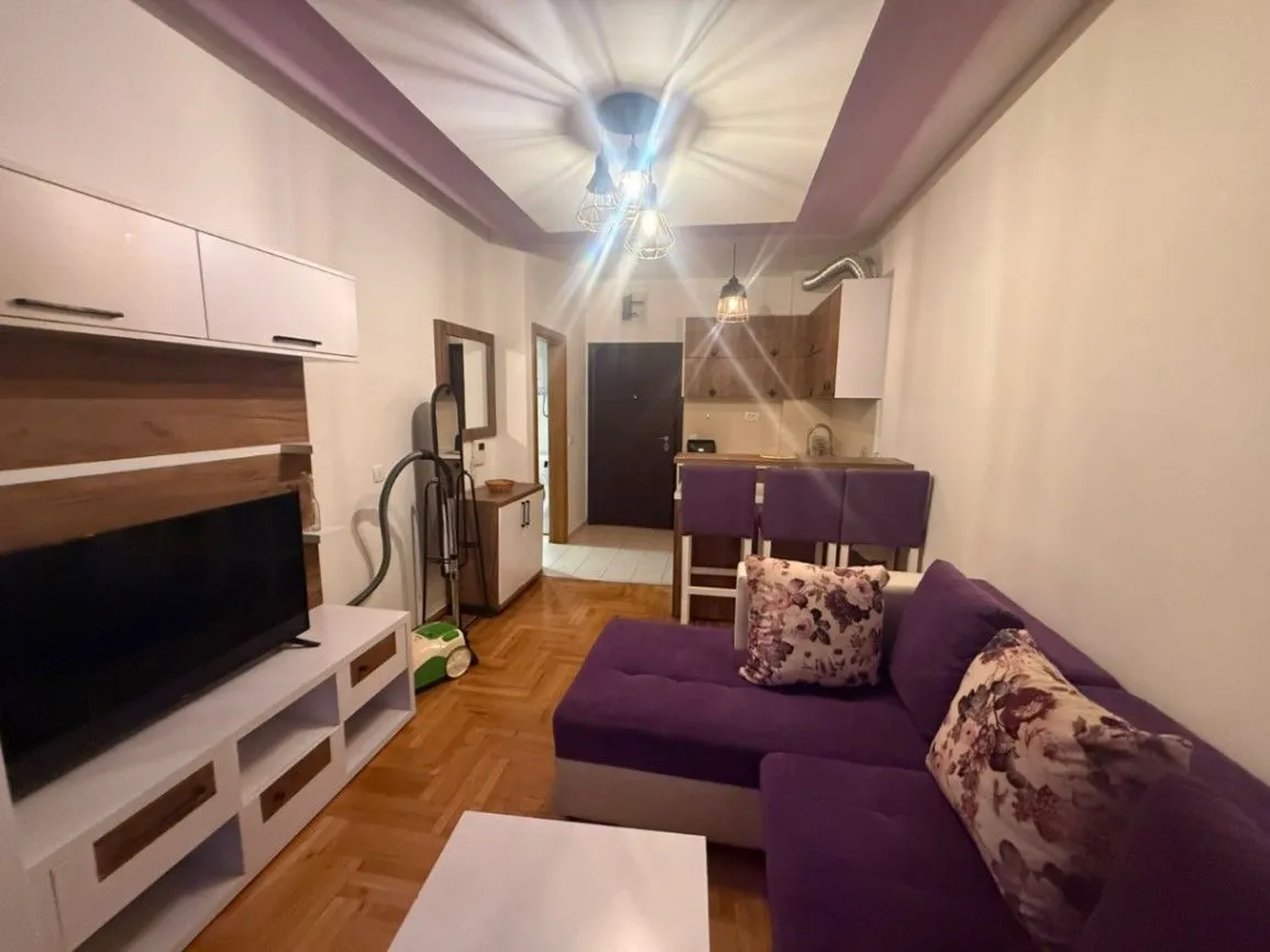 Izdavanje, garsonjera, 25m², Budva, Crna Gora