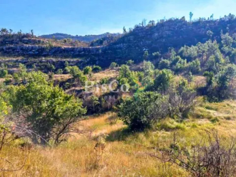 Prodaja, plac, 480000m², Brestice, Nikšić - image 6