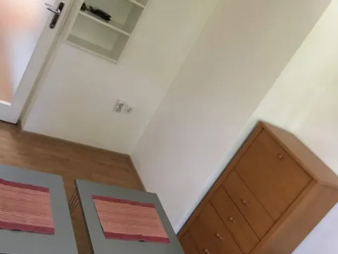 Rent, two bedroom apartment, 44m², Karaburma, Palilula Sve Podlokacije - image 9