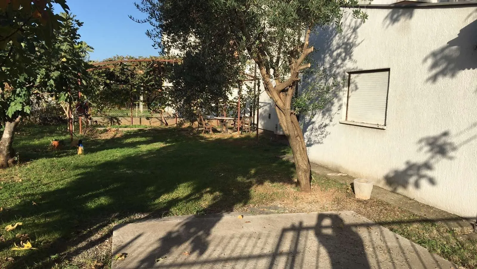 A house yard with lawn and trees.