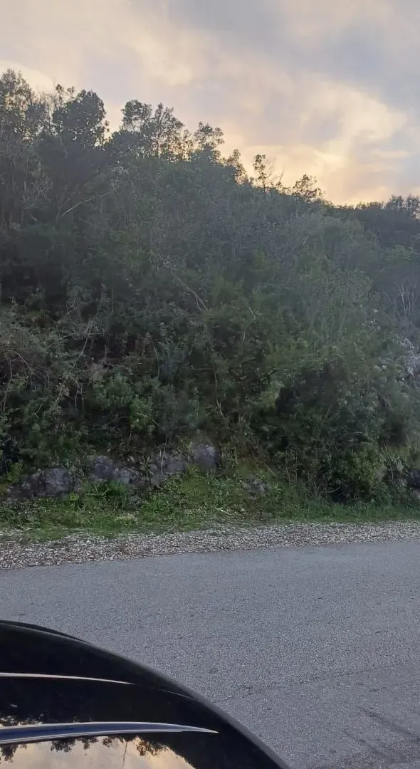 Prodaja, plac, 2300m², Tivat, Crna Gora