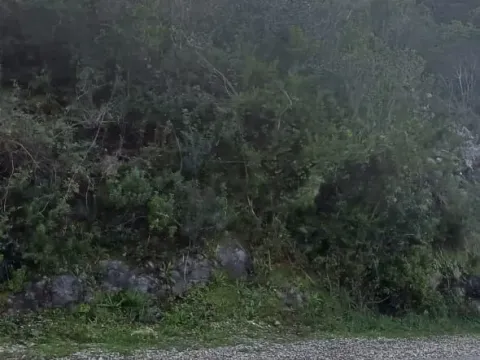 Prodaja, plac, 2300m², Tivat, Crna Gora - image 7