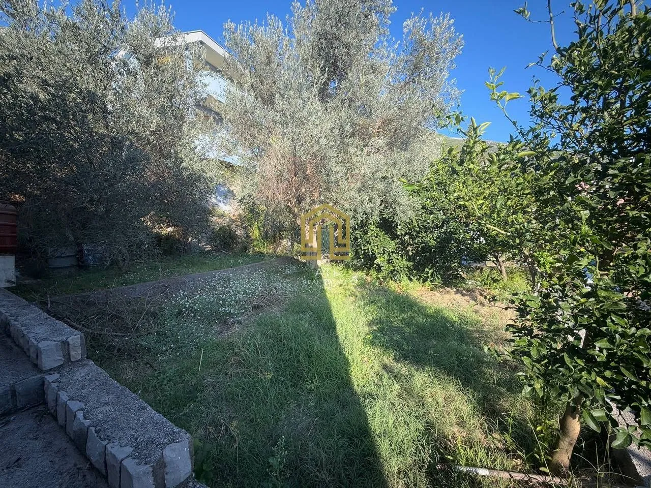 Zeleno dvorište sa drvećem i rastinjem.