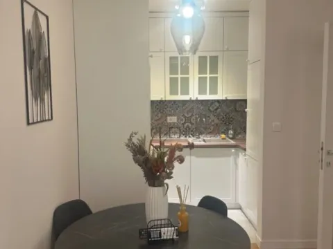 Izdavanje, jednosoban stan, 47m², Central Point, Podgorica - image 8