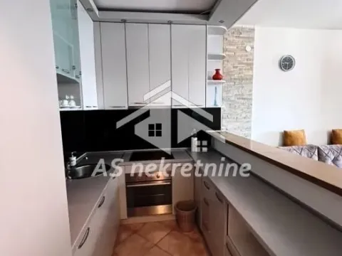 Izdavanje, dvosoban stan, 65m², Savski Venac, Beograd - image 6