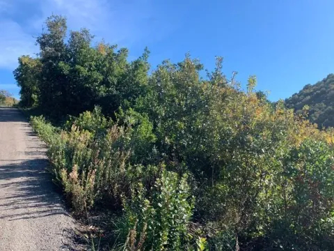 Sale, land lot, 1594m², Utjeha, Bar - image 12