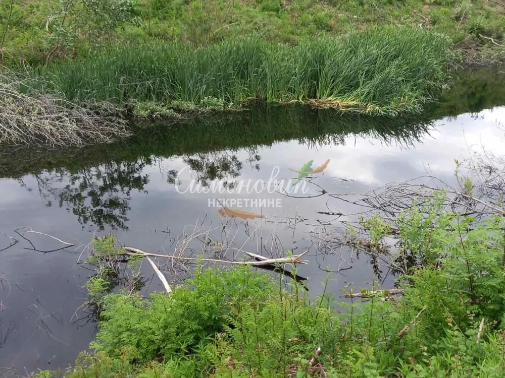 Sale, land lot, 8700m², Surčin, Beograd