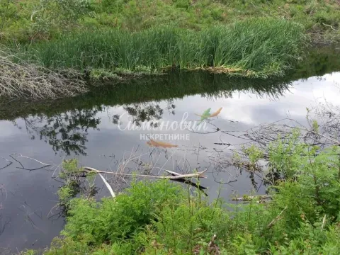 Prodaja, plac, 8700m², Surčin, Beograd - image 6