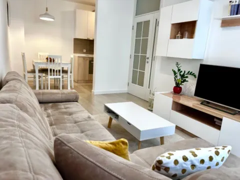 Izdavanje, jednosoban stan, 50m², Centar, Podgorica - image 4