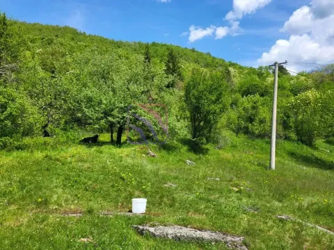 Prodaja, plac, 160000m², Nikšić, Crna Gora - image 6