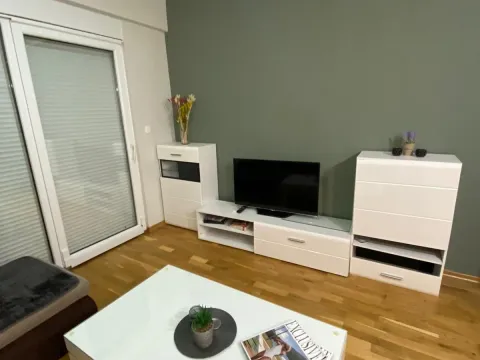 Izdavanje, jednosoban stan, 43m², Zabjelo, Podgorica - image 10