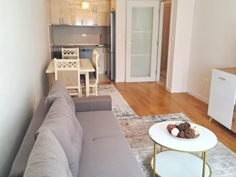 Rent, apartment, 46m², Central Point, Podgorica - image 3