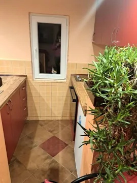 Izdavanje, jednosoban stan, 35m², Vukov Spomenik, Zvezdara Sve Podlokacije - image 12