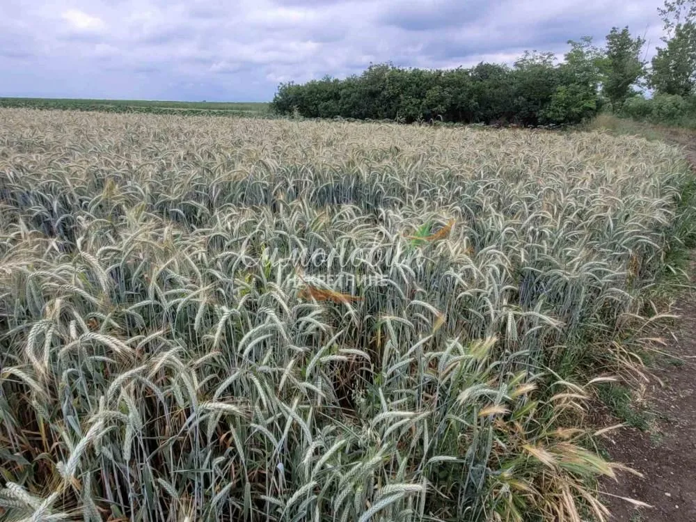 Prodaja, plac, 2200m², Zemun Ugrinovci, Zemun Sve Podlokacije