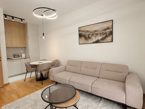Rent, one bedroom apartment, 40m², Zabjelo, Podgorica - image 4