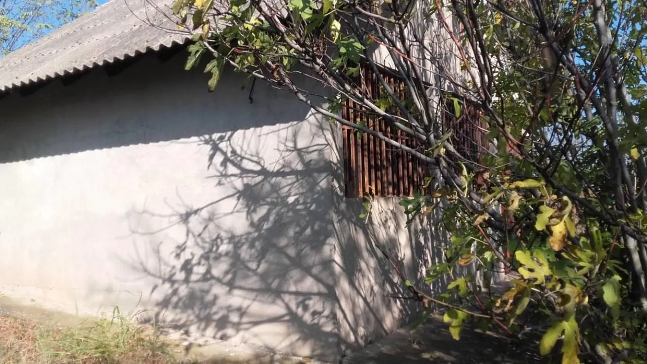 Prodaja, kuća, 30m², Miloševo, Jagodina