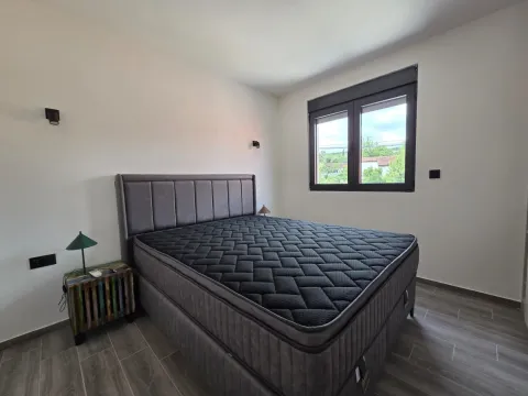Rent, house, 116m², Vranići, Podgorica - image 9