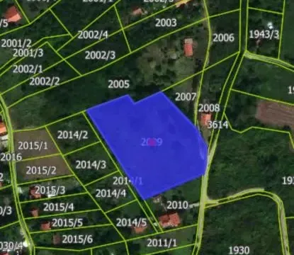 Sale, land lot, 5000m², Ledinci, Petrovaradin - image 15