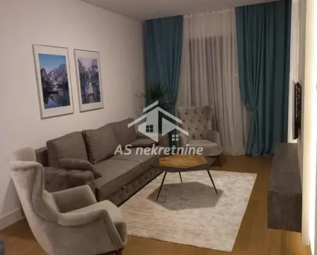 Izdavanje, dvosoban stan, 55m², Savski Venac, Beograd - image 2