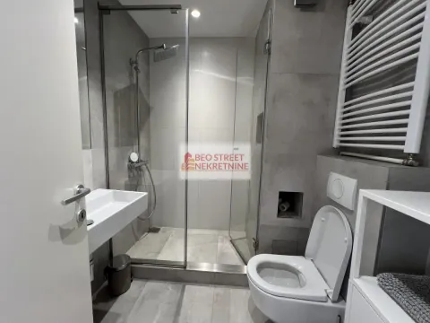 Izdavanje, stan, 135m², Vračar Hram, Vračar Sve Podlokacije - image 14