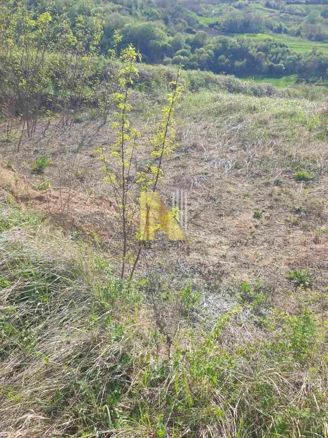 Prodaja, plac, 2500m², Novi Sad, Srbija