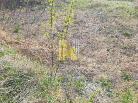 Prodaja, plac, 2500m², Novi Sad, Srbija - image 5