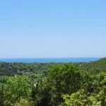 Sale, land lot, 7348m², Kovači, Kotor - image 3