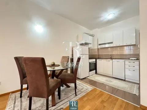 Izdavanje, jednosoban stan, 50m², Stari Aerodrom, Podgorica - image 5