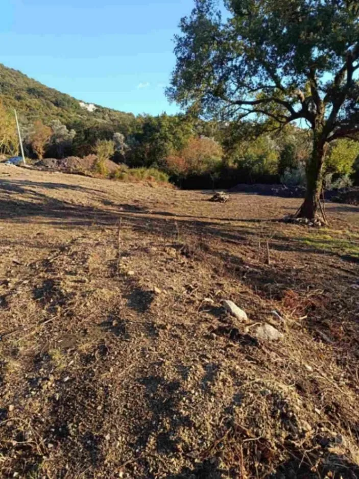 Prodaja, plac, 4250m², Bar, Crna Gora
