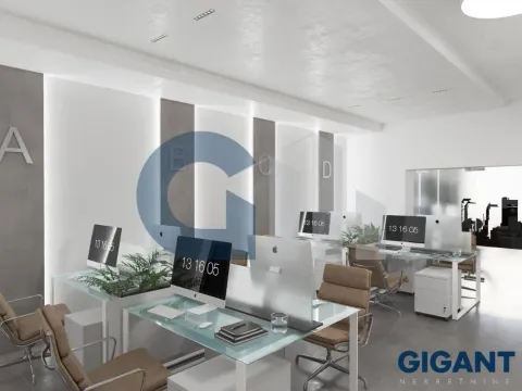 Izdavanje, poslovni prostor, 240m², Stari Grad, Beograd - image 7