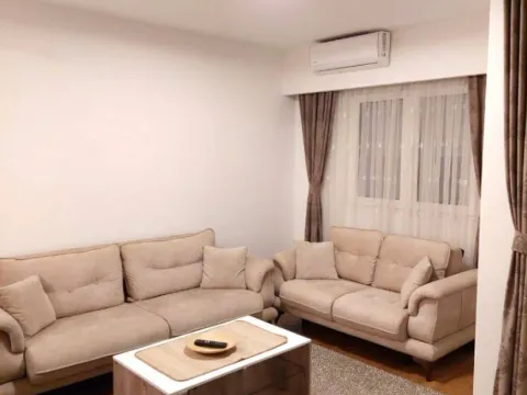 Izdavanje, jednosoban stan, 50m², Pobrežje, Podgorica - image 8