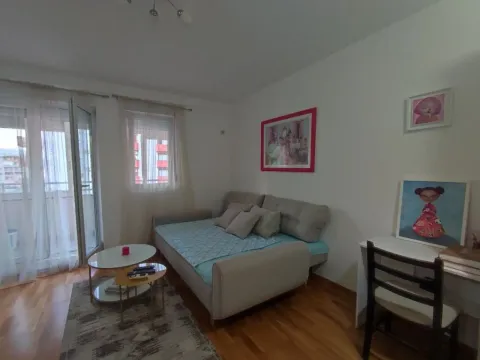 Studio for Short Term Rental, 30m2, Tuški Put, Podgorica