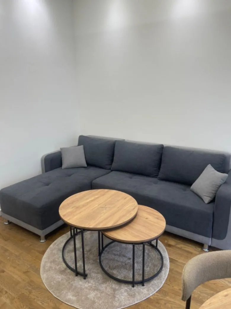 Rent, one bedroom apartment, 55m², Zagorič, Podgorica