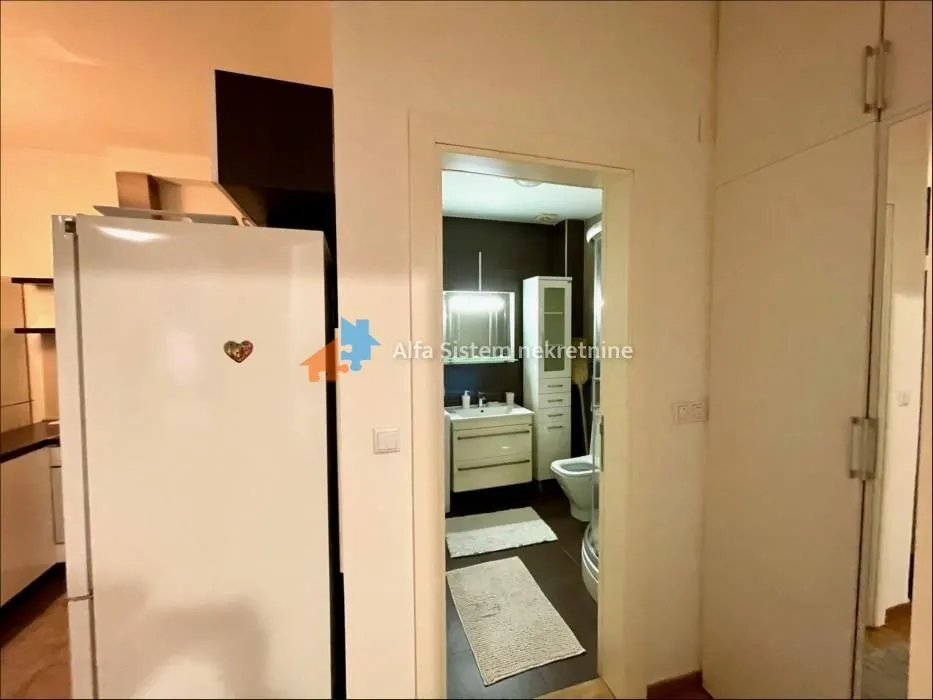 Rent, two bedroom apartment, 45m², Severni Bulevar, Zvezdara Sve Podlokacije