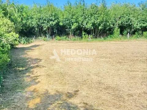 Prodaja, plac, 1350m², Mladenovac selo, Mladenovac - image 5