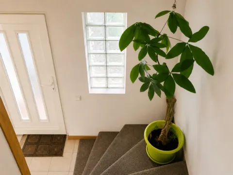 Sale, house, 205m², Altina, Beograd - image 4