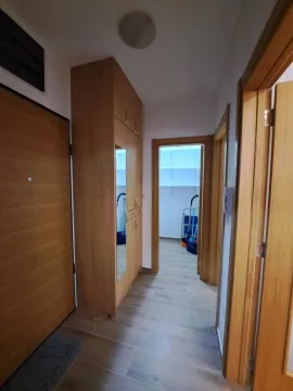 Izdavanje, jednosoban stan, 42m², Preko Morače, Podgorica - image 4