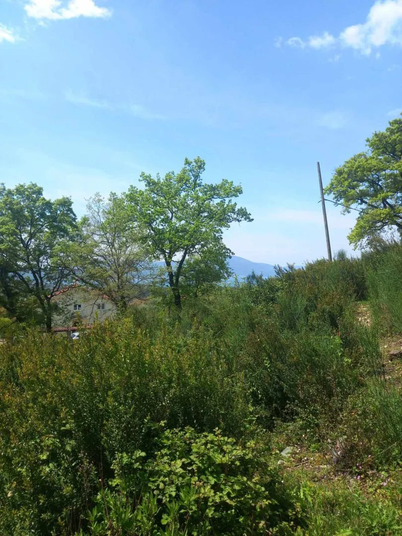 Prodaja, plac, 1072m², Kavač, Kotor