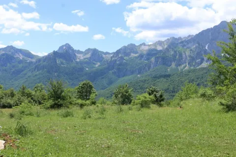 Prodaja, plac, 45000m², Gornje Lipovo, Kolašin - image 5