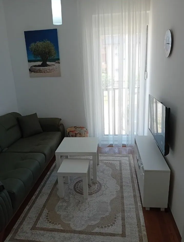 Izdavanje, jednosoban stan, 30m², Central Point, Podgorica