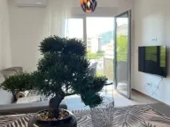 Izdavanje, jednosoban stan, 44m², Podkošljun, Budva - image 2