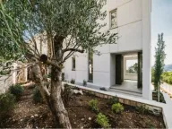 Sale, house, 460m², Blizikuće, Budva - image 5