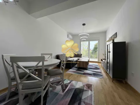 Izdavanje, dvosoban stan, 75m², Stara Varoš, Podgorica - image 3