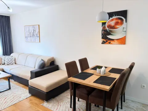 Rent, one bedroom apartment, 47m², Central Point, Podgorica - image 5