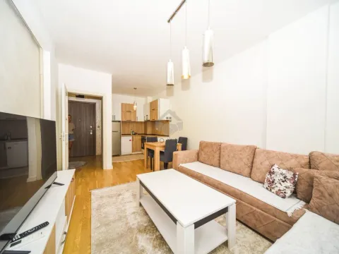 Rent, one bedroom apartment, 42m², Ljubović, Podgorica - image 3