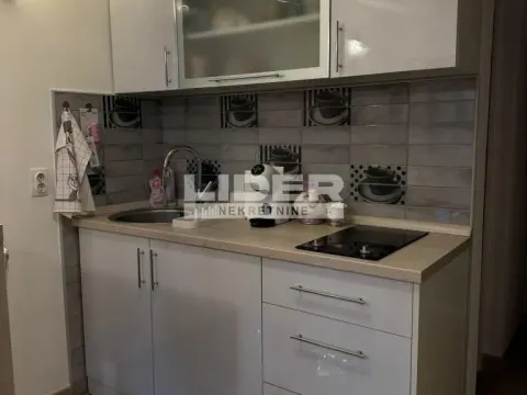 Izdavanje, dvosoban stan, 30m², Vračar Sve Podlokacije, Beograd - image 4